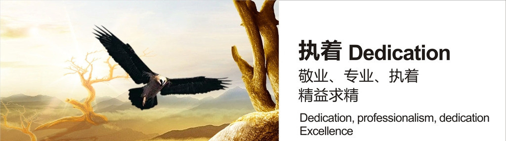 1-150QG2535B62.jpg 企業(yè)文化