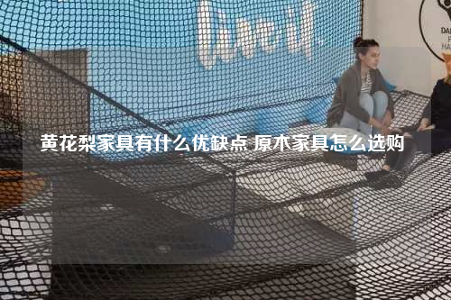 黃花梨家具有什么優(yōu)缺點 原木家具怎么選購