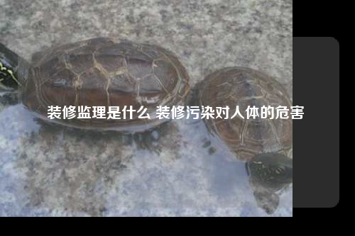 裝修監(jiān)理是什么 裝修污染對人體的危害