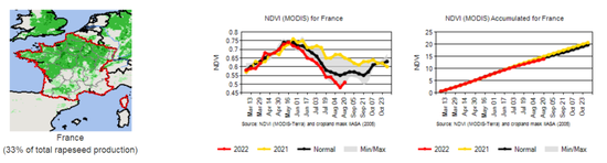 研究報(bào)告：干旱天氣對(duì)全球主要農(nóng)產(chǎn)品的影響