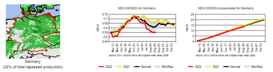 研究報(bào)告：干旱天氣對(duì)全球主要農(nóng)產(chǎn)品的影響