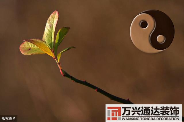 風(fēng)水師好嗎風(fēng)水師這個職業(yè)好不好