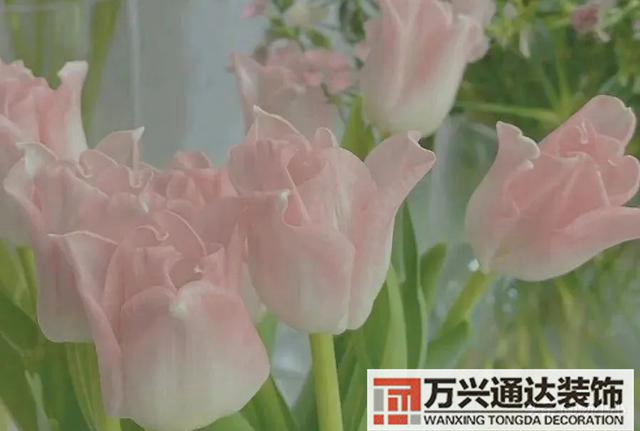 美國(guó)裝修美國(guó)裝修房子的流程