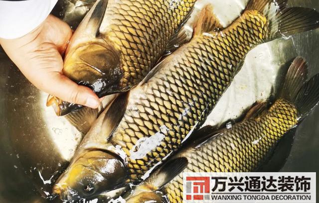 屬羊辦公室風(fēng)水座位圖屬羊領(lǐng)導(dǎo)辦公室風(fēng)水座位圖