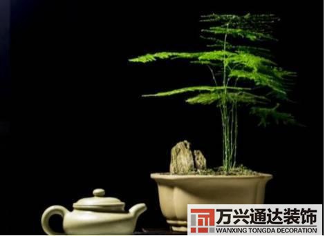 水仙花的風水家里養(yǎng)水仙花風水
