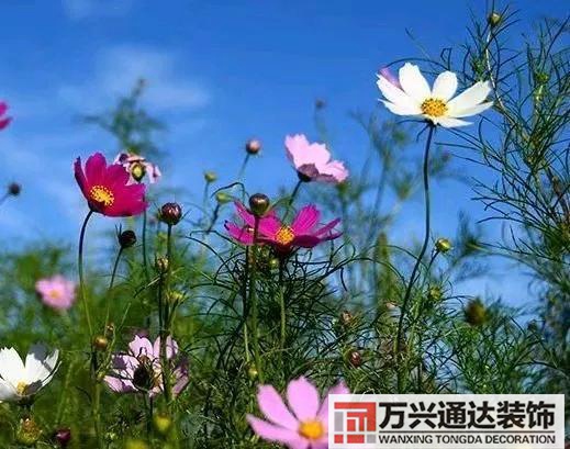 風(fēng)水多子多子多孫的風(fēng)水方位