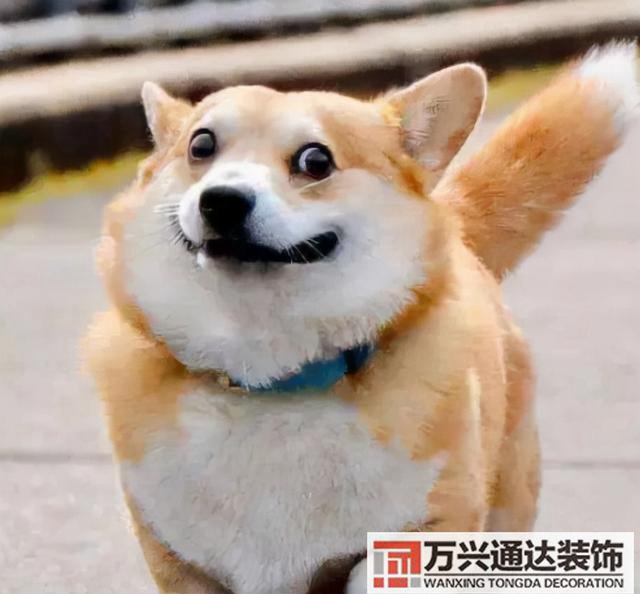 陽臺裝修設(shè)計(jì)陽臺的裝修設(shè)計(jì)圖片大全