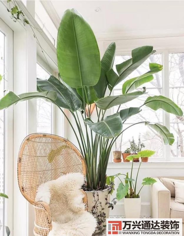 室內(nèi)風(fēng)水圖片室內(nèi)風(fēng)水布局圖解