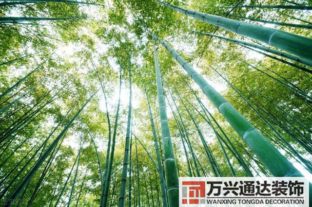 改善房間風(fēng)水房間風(fēng)水不好怎么化解