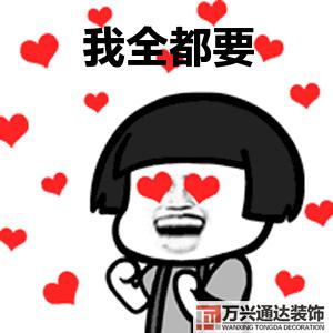 家里裝修風(fēng)格家里裝修風(fēng)格圖片大全