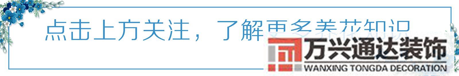 家風(fēng)水植物家種風(fēng)水植物