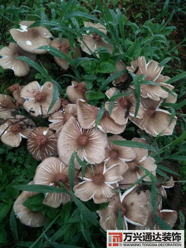 云南風(fēng)水寶地云南風(fēng)水寶地分享