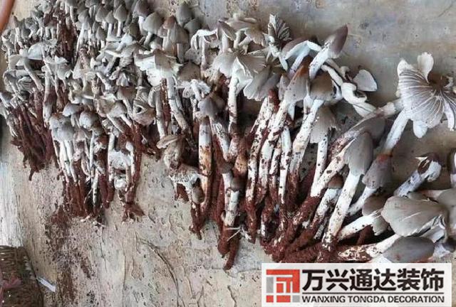 云南風(fēng)水寶地云南風(fēng)水寶地分享