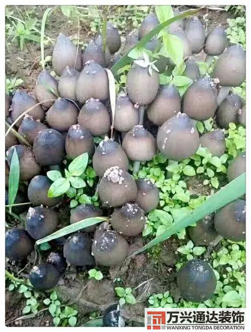 云南風(fēng)水寶地云南風(fēng)水寶地分享