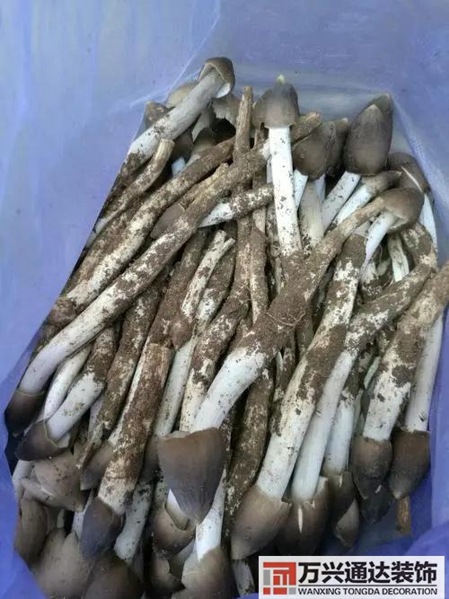 云南風(fēng)水寶地云南風(fēng)水寶地分享