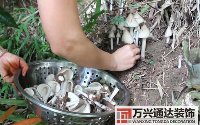 云南風(fēng)水寶地云南風(fēng)水寶地分享