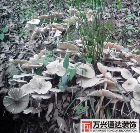 云南風(fēng)水寶地云南風(fēng)水寶地分享