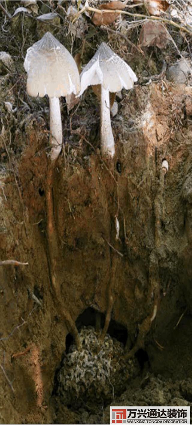 云南風(fēng)水寶地云南風(fēng)水寶地分享