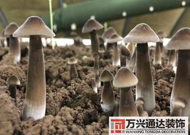 云南風(fēng)水寶地云南風(fēng)水寶地分享