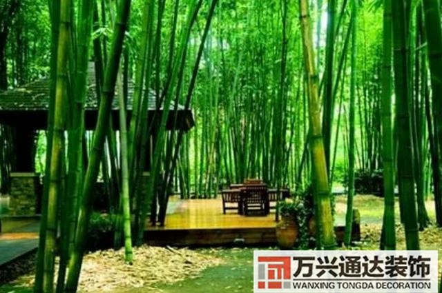 橘子樹(shù)風(fēng)水門(mén)口栽桔子樹(shù)風(fēng)水