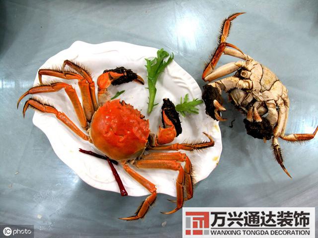 張學(xué)良風(fēng)水張學(xué)良風(fēng)水說(shuō)