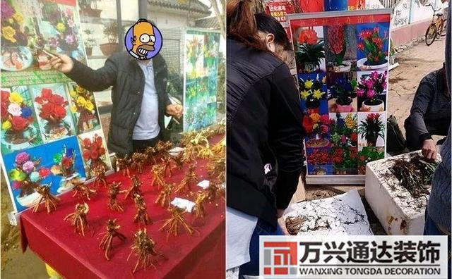 木槿樹風(fēng)水木槿花 風(fēng)水