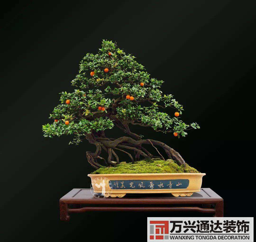 金彈子風(fēng)水金彈子風(fēng)水上怎么個(gè)說法